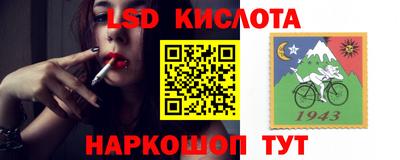 дмт Бердск