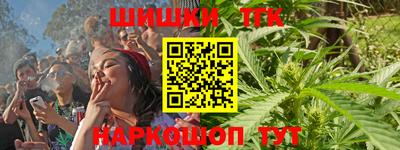 дмт Бердск