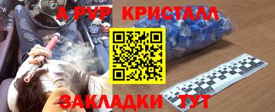 дмт Бердск