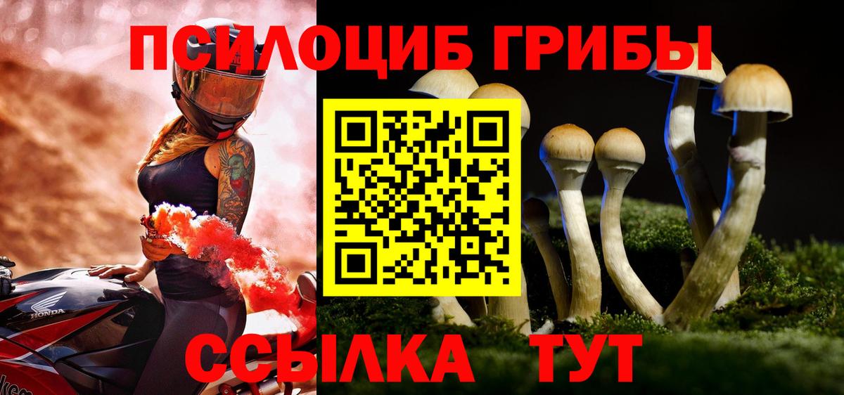 Псилоцибиновые грибы Psilocybe Альметьевск