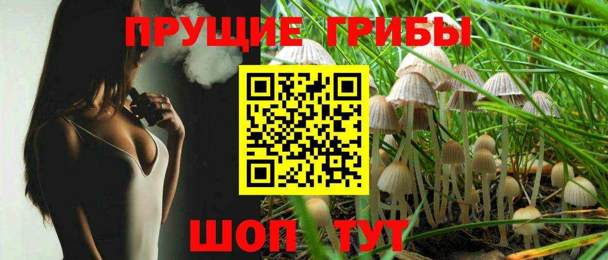 Альметьевск  Галлюциногенные грибы ЛСД  Вход с VPN 